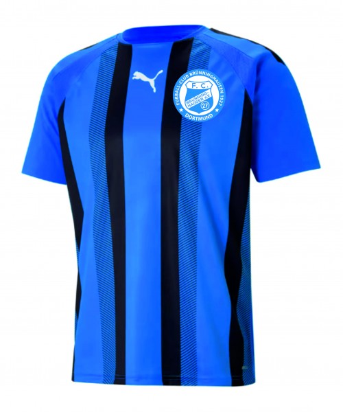 PUMA teamLIGA Striped Trikot Blau Schwarz F02