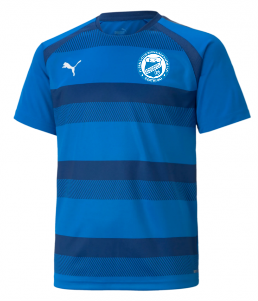 PUMA teamVISION Striped Trikot blau KIDS